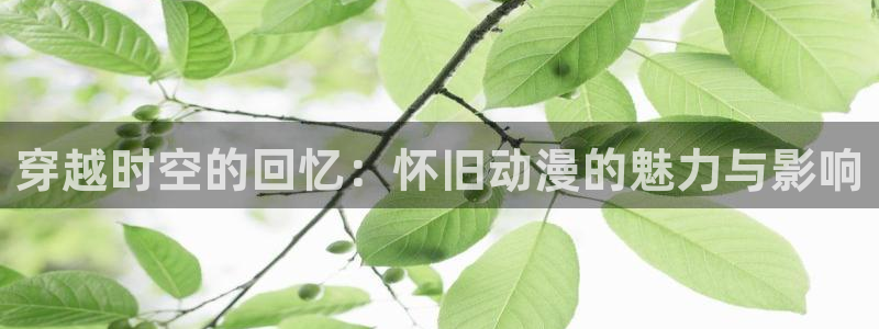 动漫岛网页：穿越时空的回忆：怀旧动漫的魅力与影响